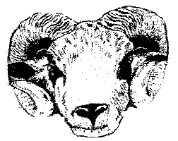 Rams Head